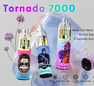 Sourcingvape - RandMTornado7000DisposableVape